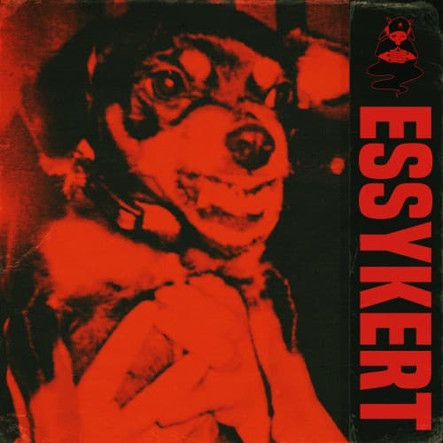 Essykert