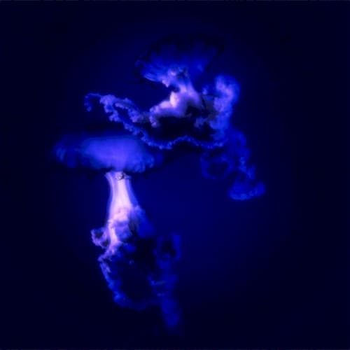 In The Blur (Remixed)