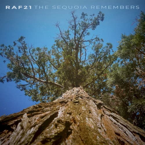 The Sequoia Remembers