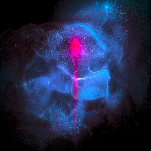 Primal Transmissions
