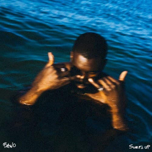 Surf's Up