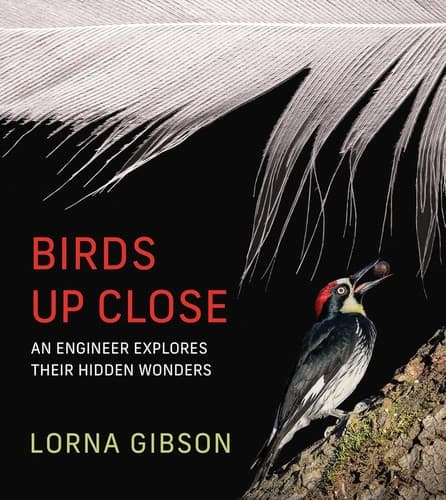 Birds Up Close