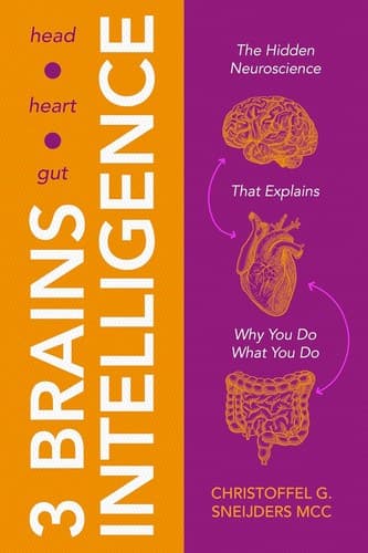 3 Brains Intelligence
