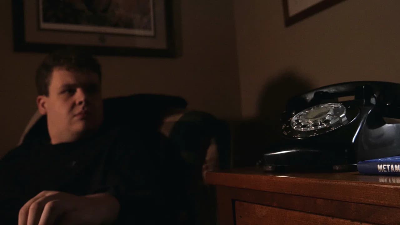 The Visitor