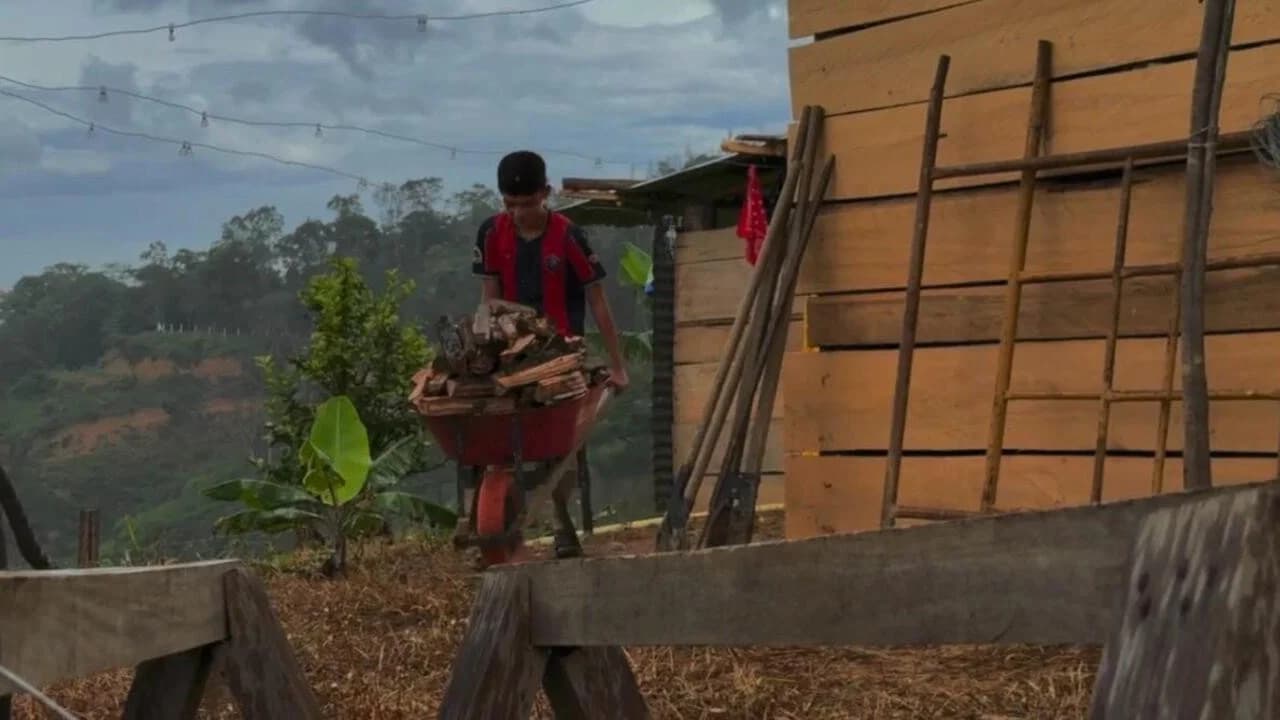 Las voces del Catatumbo