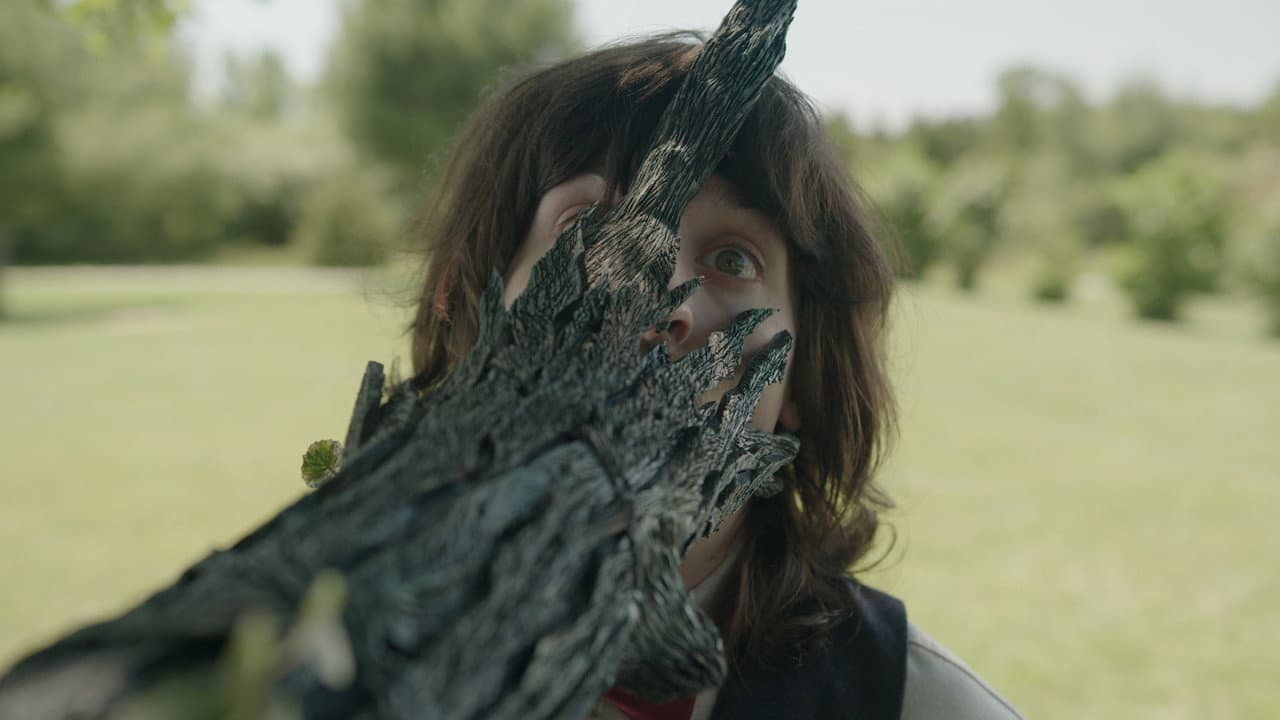The Taking Tree