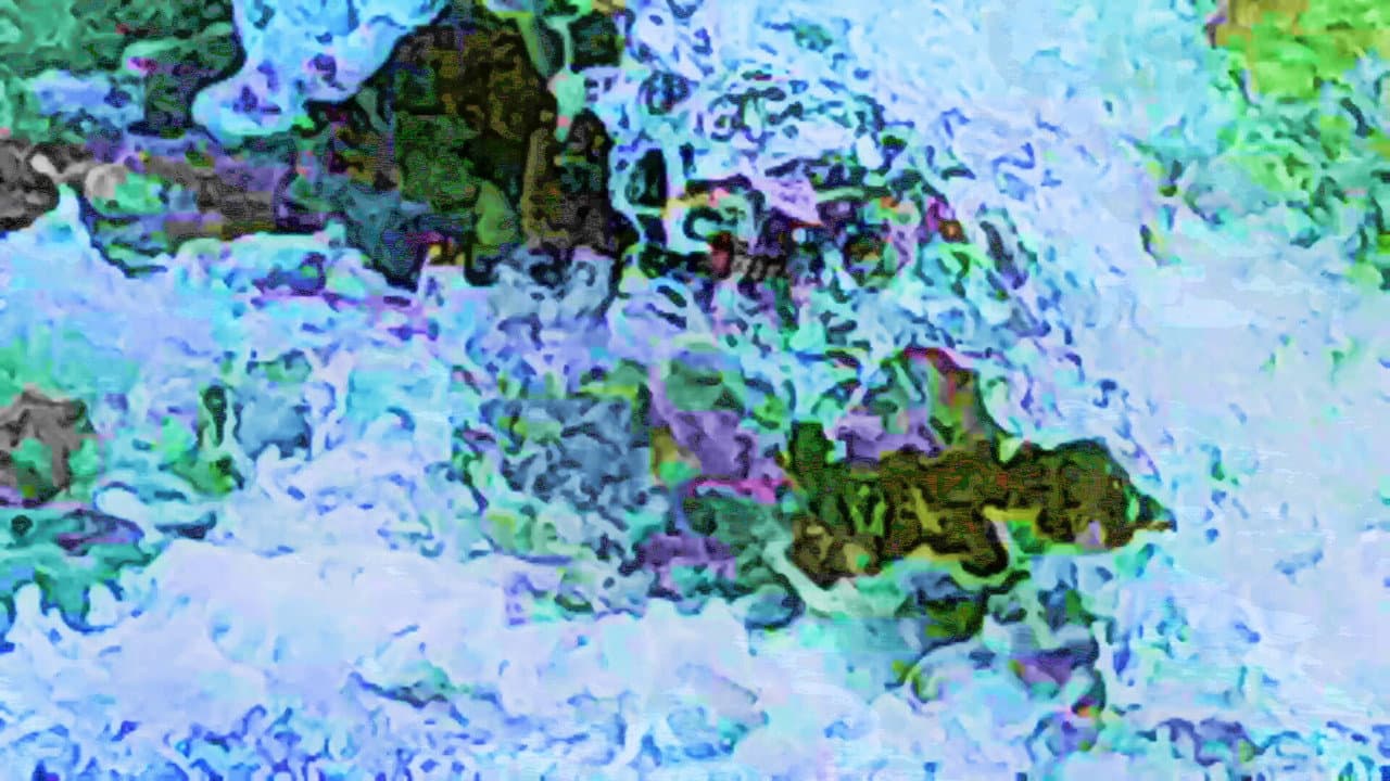 Feel Flows