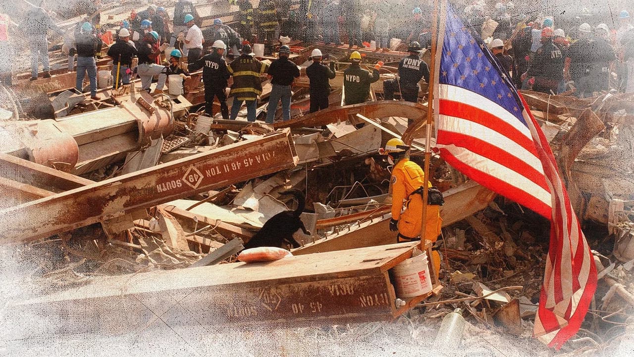 9/11: Days That Shocked the World