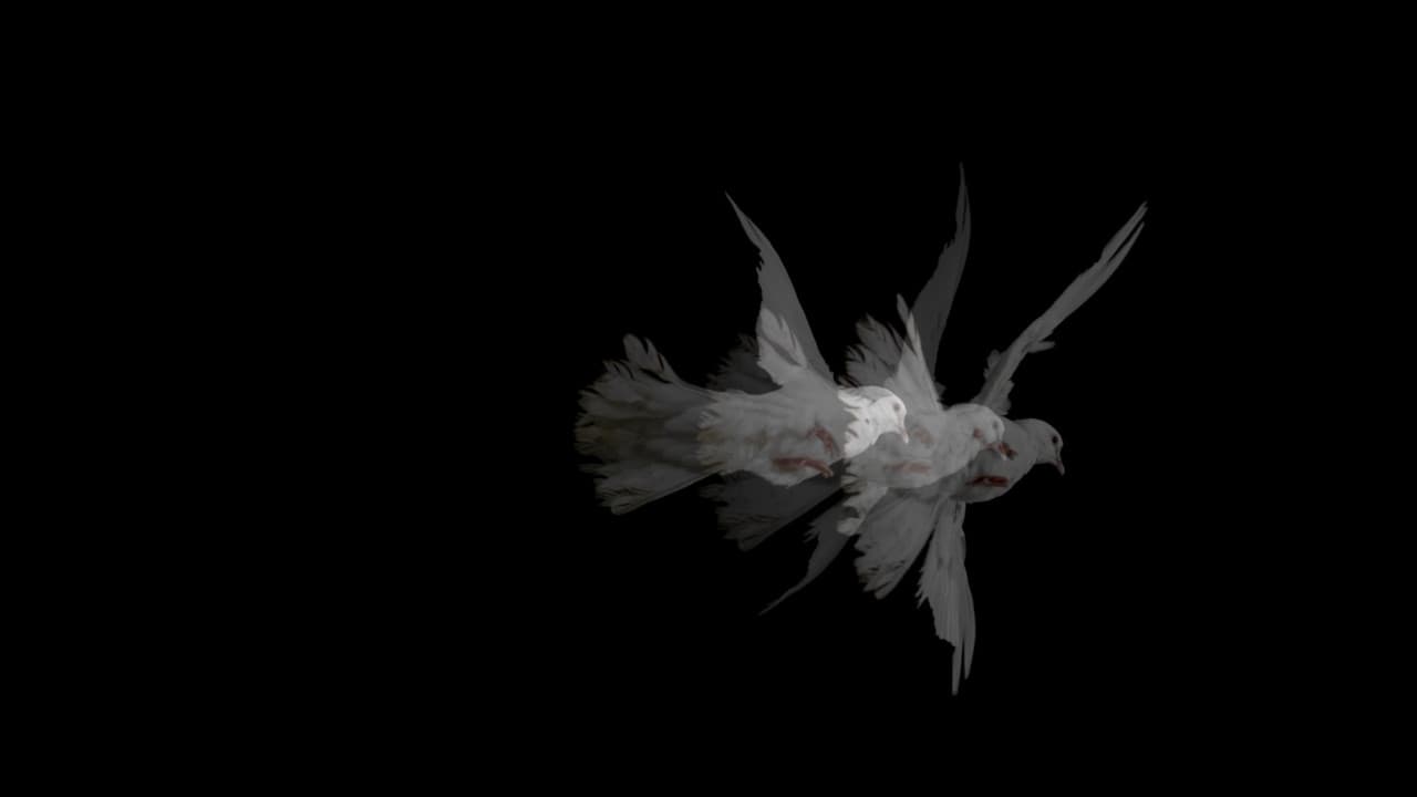 Doves (Loss of Love and Desensitization of Grief)