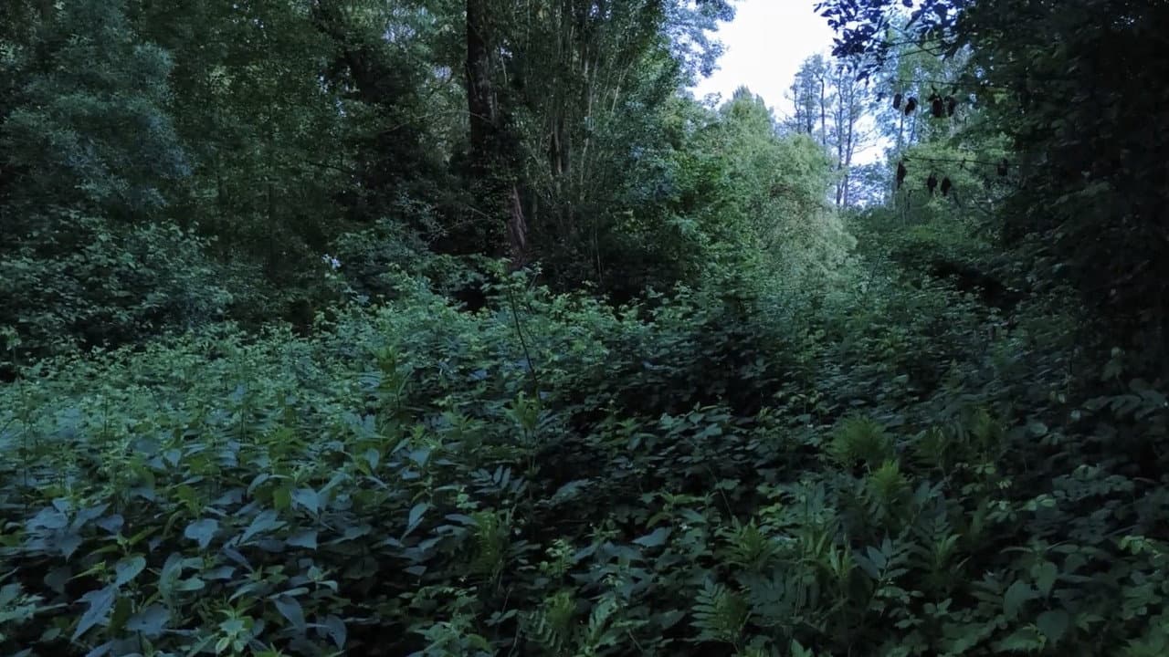 Ecosystem washing