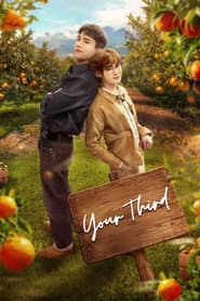 Your Third