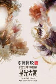 Tencent Video All Star Night 2025