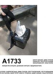 A1733