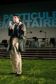 Les particules élémentaires