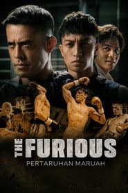 The Furious