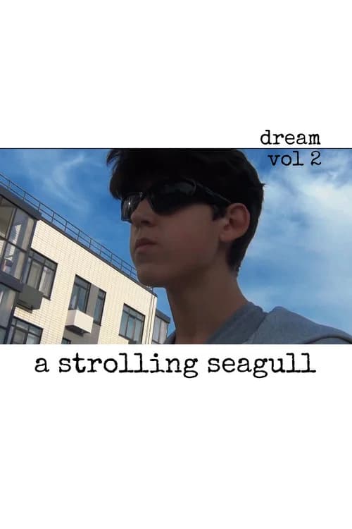 Dream vol 2. «A strolling seagull»