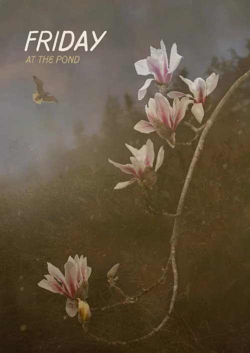 Friday At The Pond