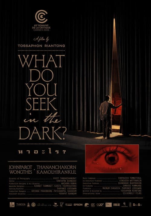 What Do You Seek in the Dark?