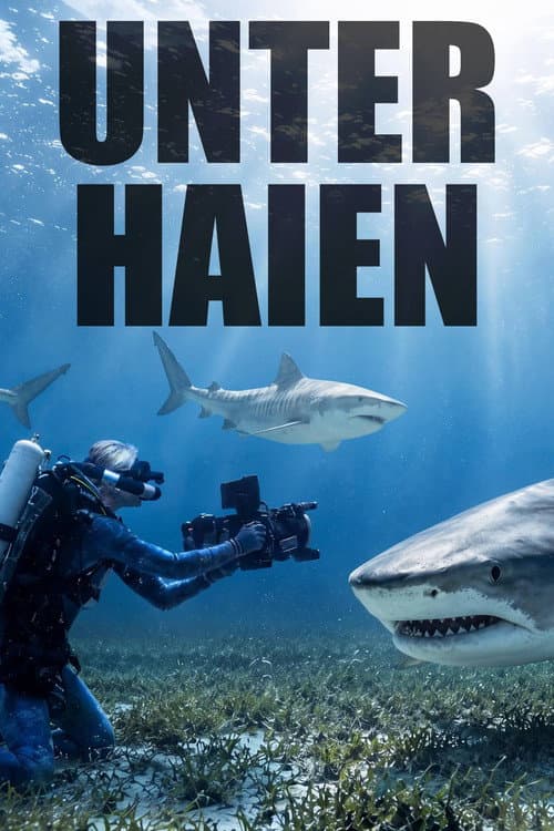 Among Sharks
