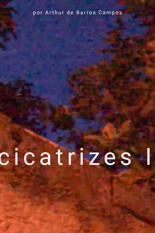 Cicatrizes I