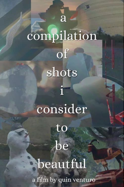A Compilation Of Shots I Consider To Be Beautiful