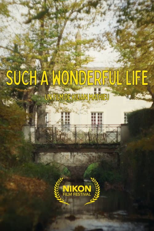 Such a Wonderful Life (long version)