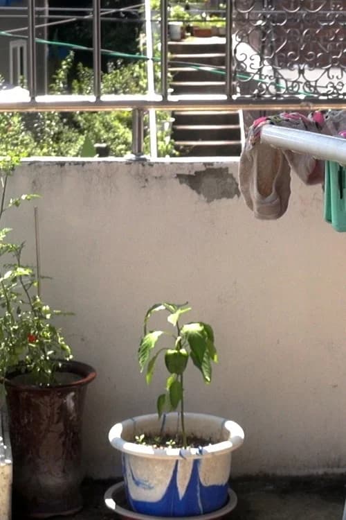 Who Does the Chores?