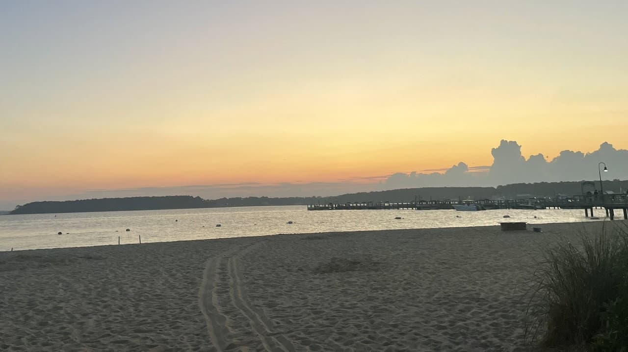 Zombies on The Beach