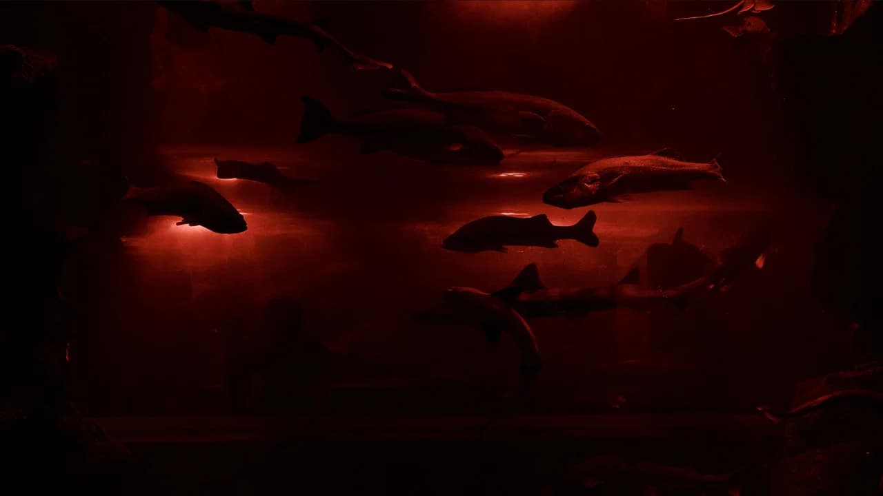 Red Wave