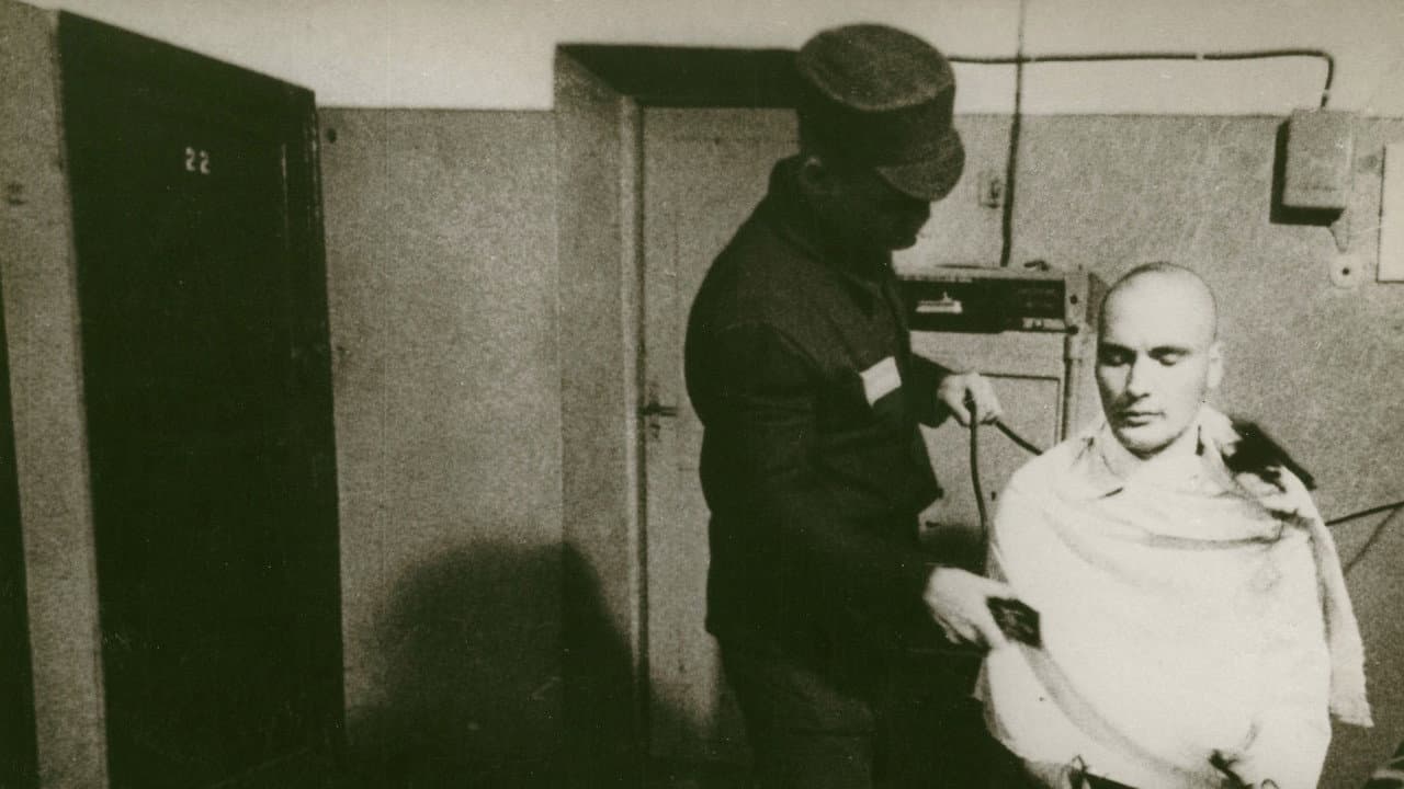 The Story of Documentary Film: 1980s