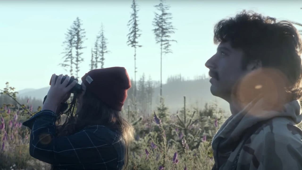 Listers: A Glimpse Into Extreme Birdwatching
