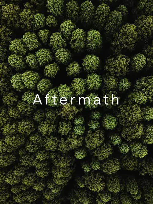 Aftermath