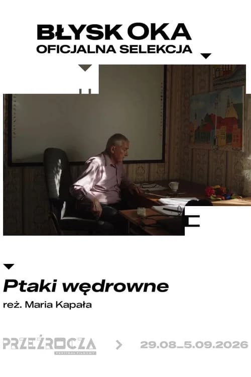 Ptaki Wędrowne
